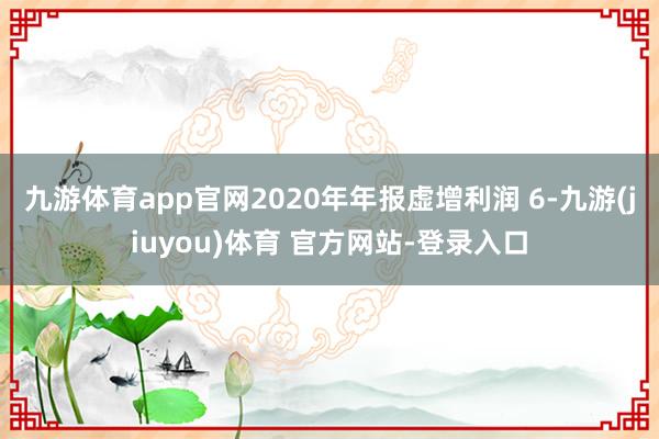 九游体育app官网2020年年报虚增利润 6-九游(jiuyou)体育 官方网站-登录入口
